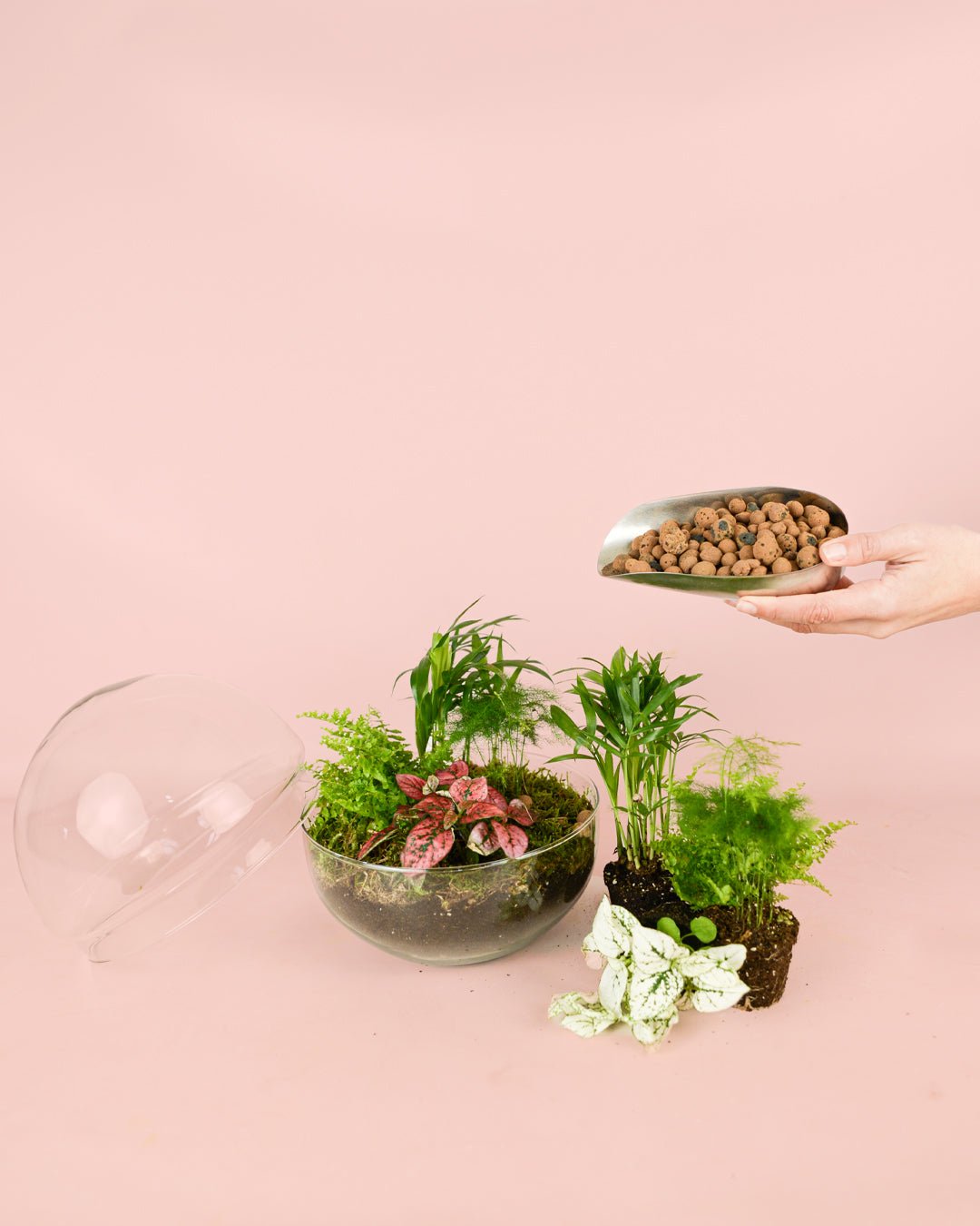 Kit Terrario Create – DIY L - Pur Plant