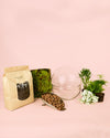 Kit Terrario Create – DIY L - Pur Plant