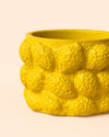 Limone – Mini Maceta Cerámica Limones S 6 cm - Pur Plant