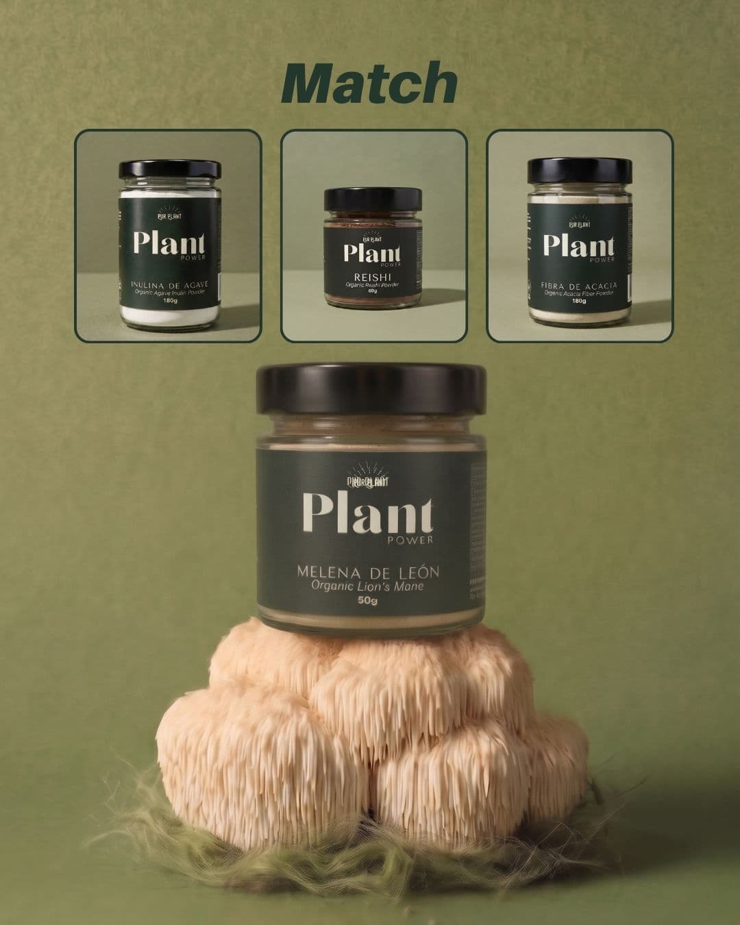 lions_mane_product match