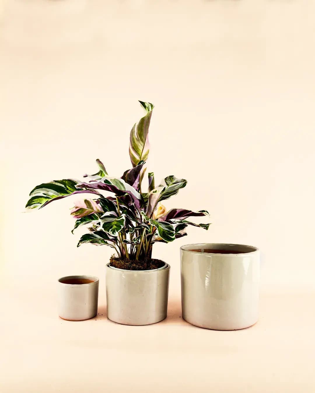 Maceta Arena M – 15 cm - Pur Plant