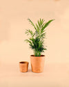 Maceta Artesanal de Barro Pur Plant – 13cm - Pur Plant