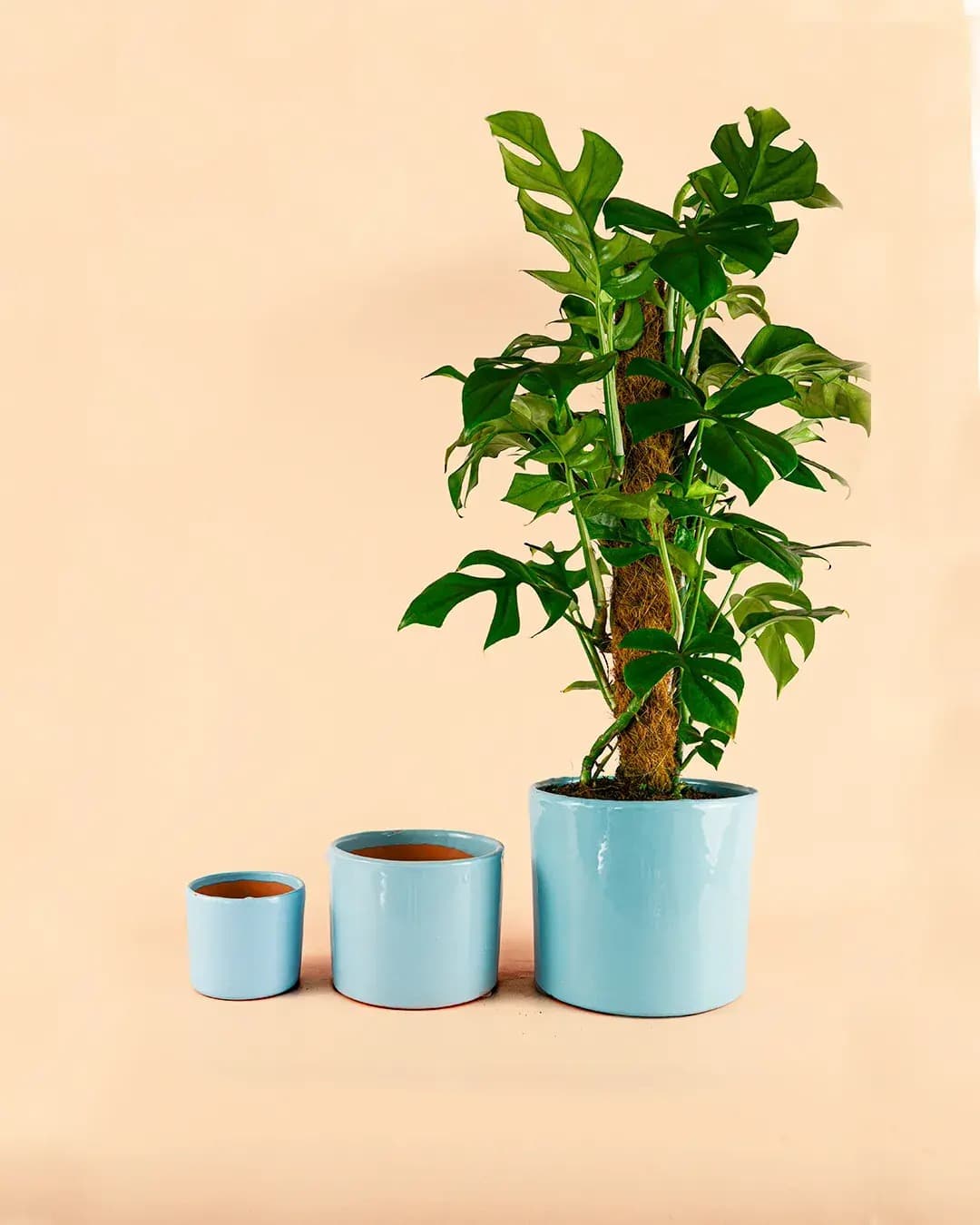 Maceta Azul Celeste L – 19 cm - Pur Plant