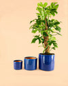 Maceta Azul Marino L – 19 cm - Pur Plant