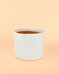 Maceta Blanca M – 15 cm