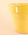 Maceta Clasic Amarillo – 15 cm - Pur Plant