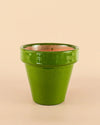 Maceta Clasic Verde – 15 cm - Pur Plant