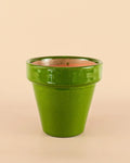 Maceta Clasic Verde – 15 cm