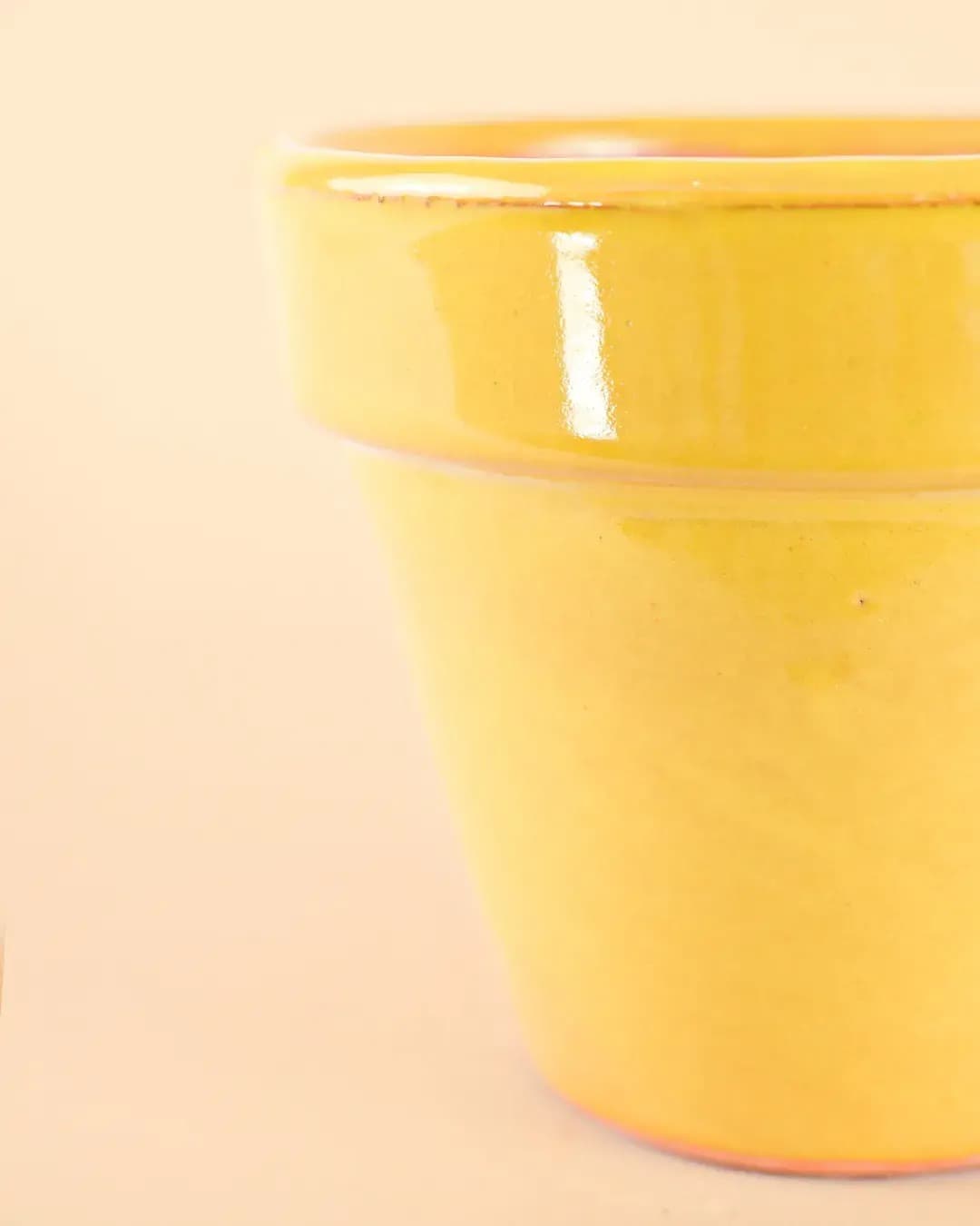 maceta-classic-amarilla-detalle