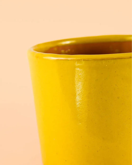 maceta-l-mostaza-detalle