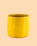 Maceta Mostaza L – 19 cm