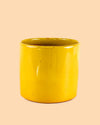 Maceta Mostaza L – 19 cm - Pur Plant