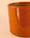 Maceta Naranja L – 19 cm - Pur Plant