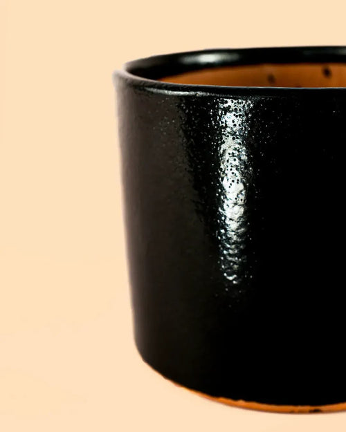 Maceta Negra L – 19 cm - Pur Plant