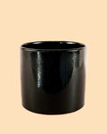 Maceta Negra L – 19 cm