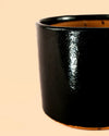 Maceta Negra M – 15 cm - Pur Plant