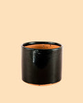 Maceta Negra M – 15 cm