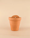 Maceta Pared Terracota L – 18 cm - Pur Plant