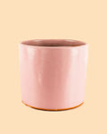 Maceta Rosa L – 19 cm