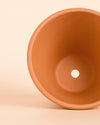 Maceta terracota Clasic M – 15 cm - Pur Plant