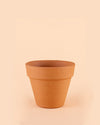 Maceta terracota Clasic M – 15 cm - Pur Plant