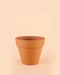 Maceta terracota Clasic M – 15 cm