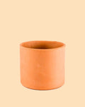 Maceta Terracota M – 15 cm