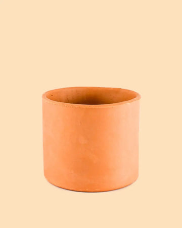 Maceta Terracota M – 15 cm