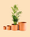 Maceta Terracota M – 15 cm - Pur Plant