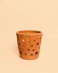 Maceta Terracota para Orquídeas – 12 cm