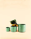 Maceta Turquesa M – 15 cm - Pur Plant
