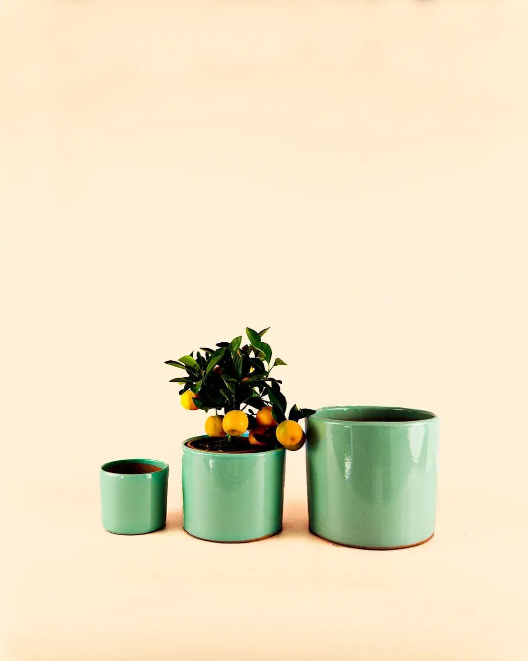 Maceta Turquesa M – 15 cm - Pur Plant