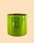 Maceta Verde L – 19 cm
