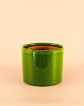 Maceta Verde M – 15 cm