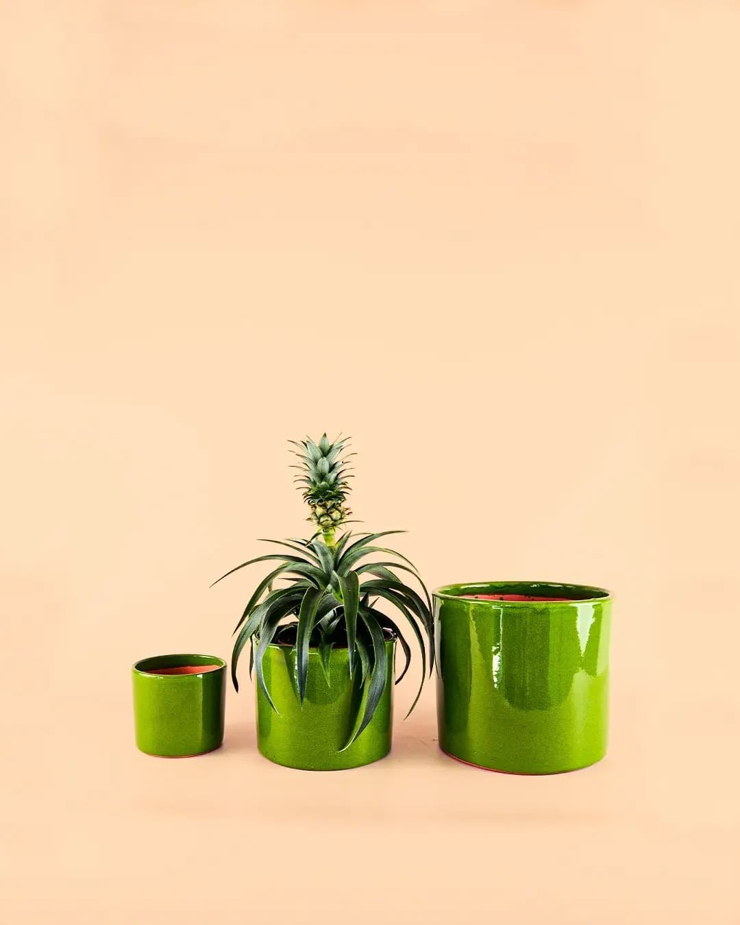 Maceta Verde M – 15 cm - Pur Plant