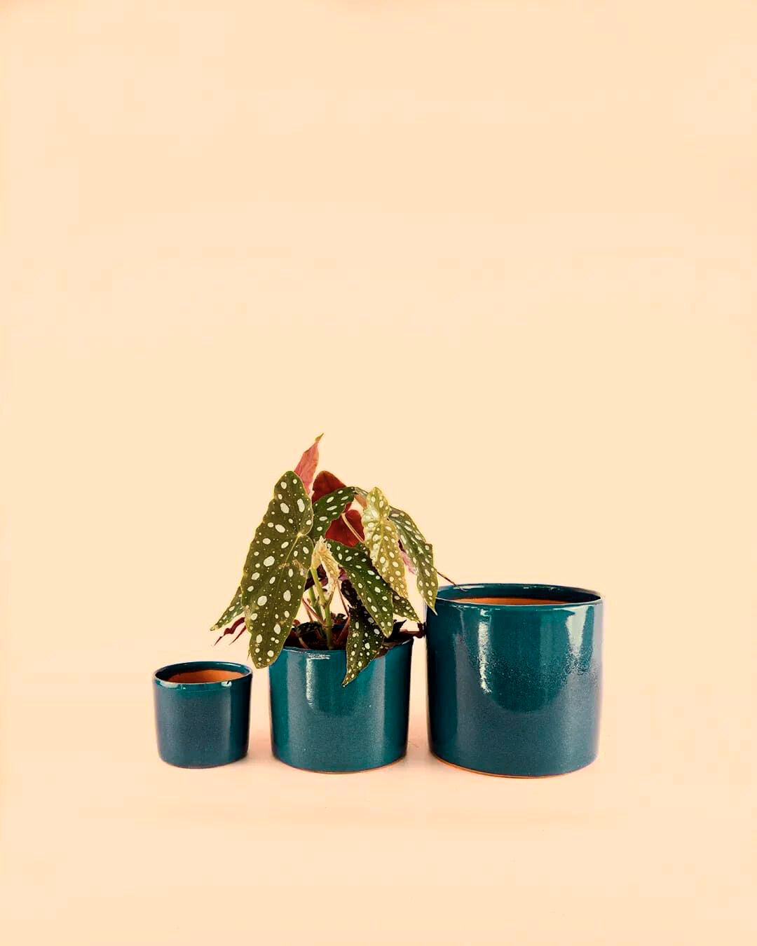 macetas-aguamarina-medidas