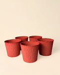 Pack 5x macetas biodegradable rojo 9 cm