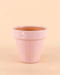 Maceta Clasic Rosa – 15 cm