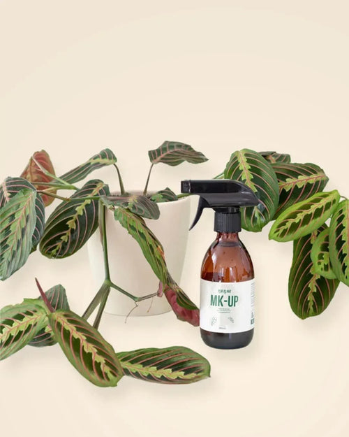 Make Up 250ml – Limpia las hojas y las protege de plagas - Pur Plant