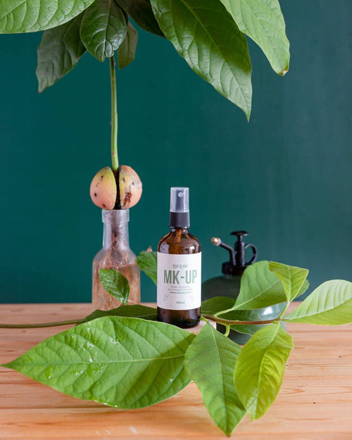 Make - Up – Da Brillo y Protege las Hojas 100ml - Pur Plant