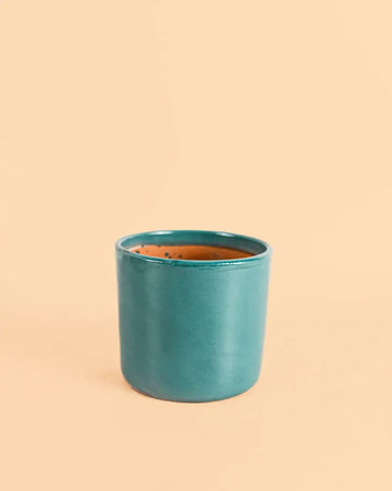 Mini Maceta Aguamarina S – 9 cm
