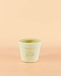 Mini Maceta Artesanal Blanca