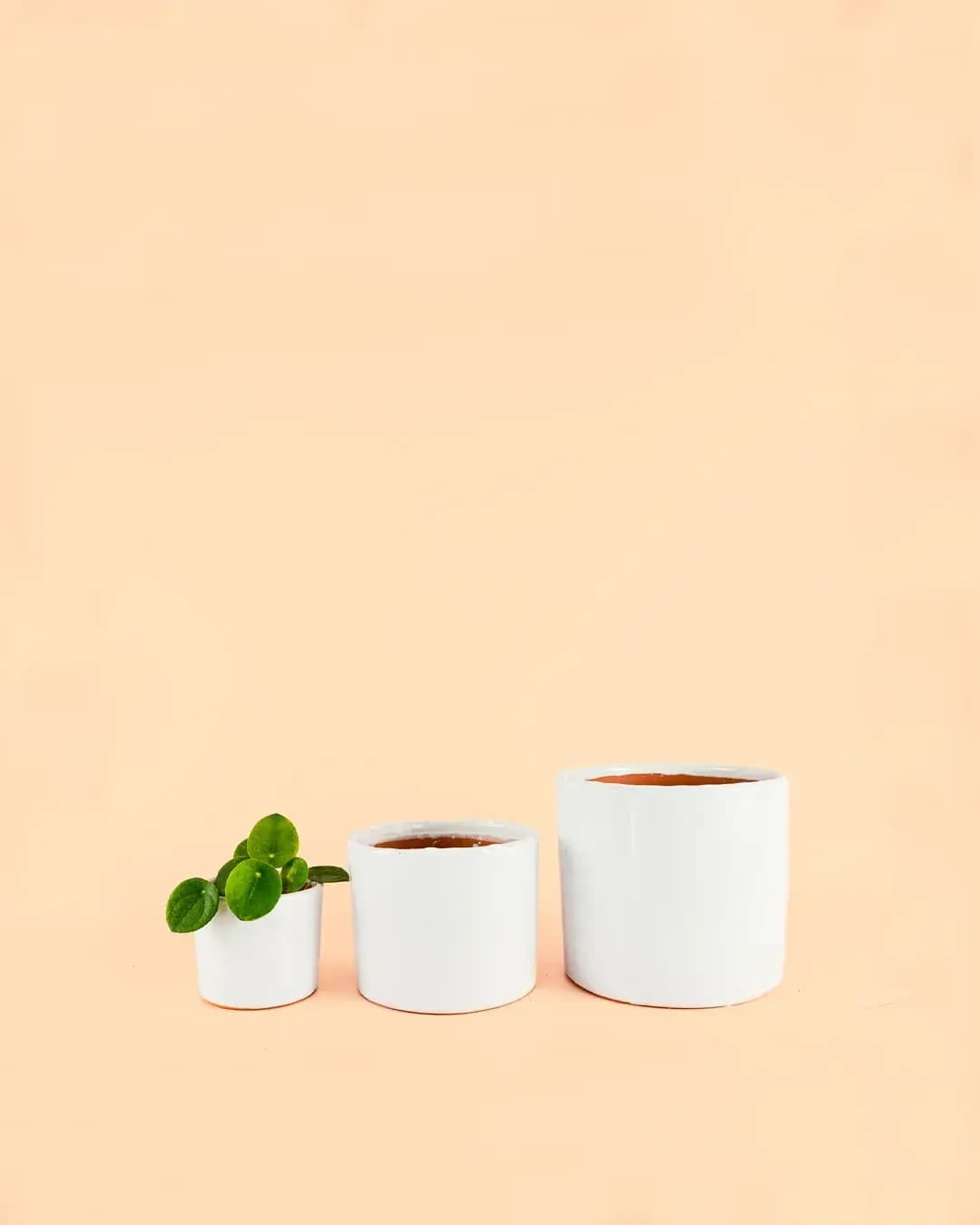Mini Maceta Blanca S – 9 cm - Pur Plant