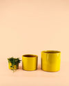 Mini Maceta Mostaza S – 9 cm