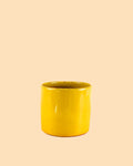Mini Maceta Terracota Mostaza