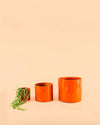 Mini Maceta Naranja S – 9 cm - Pur Plant