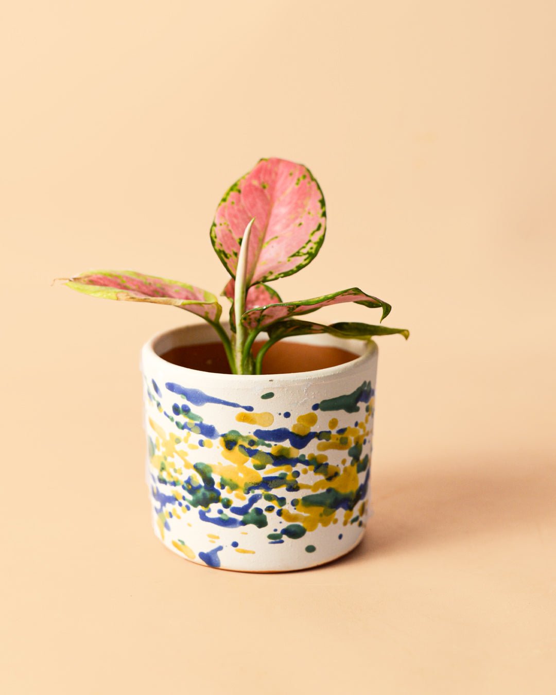 Mini Maceta Pollock S – 9 cm - Pur Plant