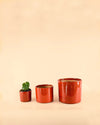Mini Maceta Roja S – 9 cm - Pur Plant