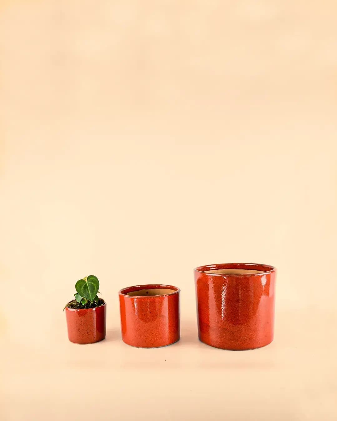Mini Maceta Roja S – 9 cm - Pur Plant