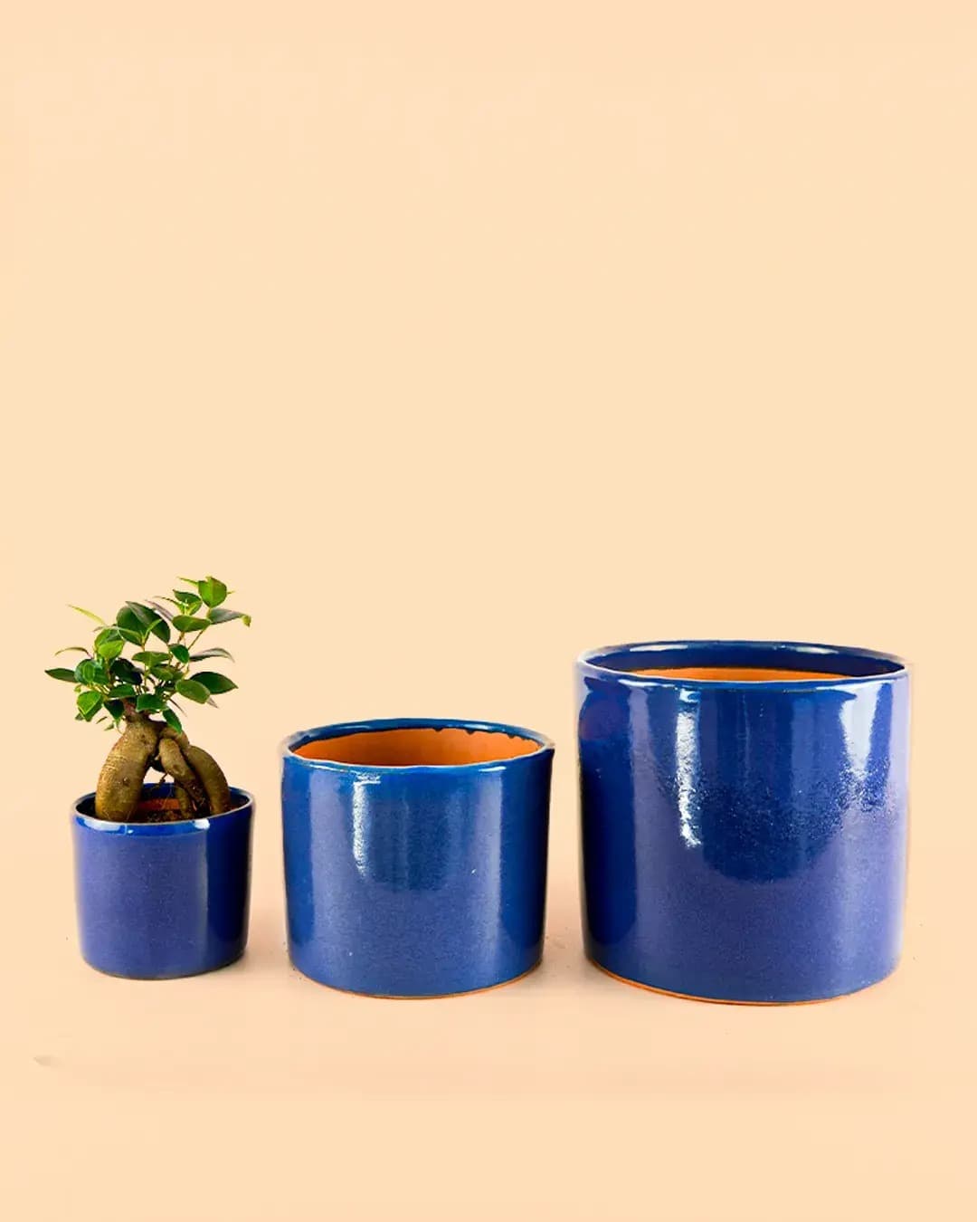 Mini Maceta Terracota Azul Marino - Pur Plant